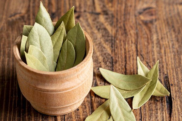 Bay Leaves (Laurus nobilis)