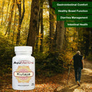 Kutaja Tablets (Holarrhena antidysenterica)