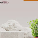 Tulsi Powder