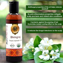 Bhringraj Oil