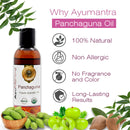 Panchaguna Oil